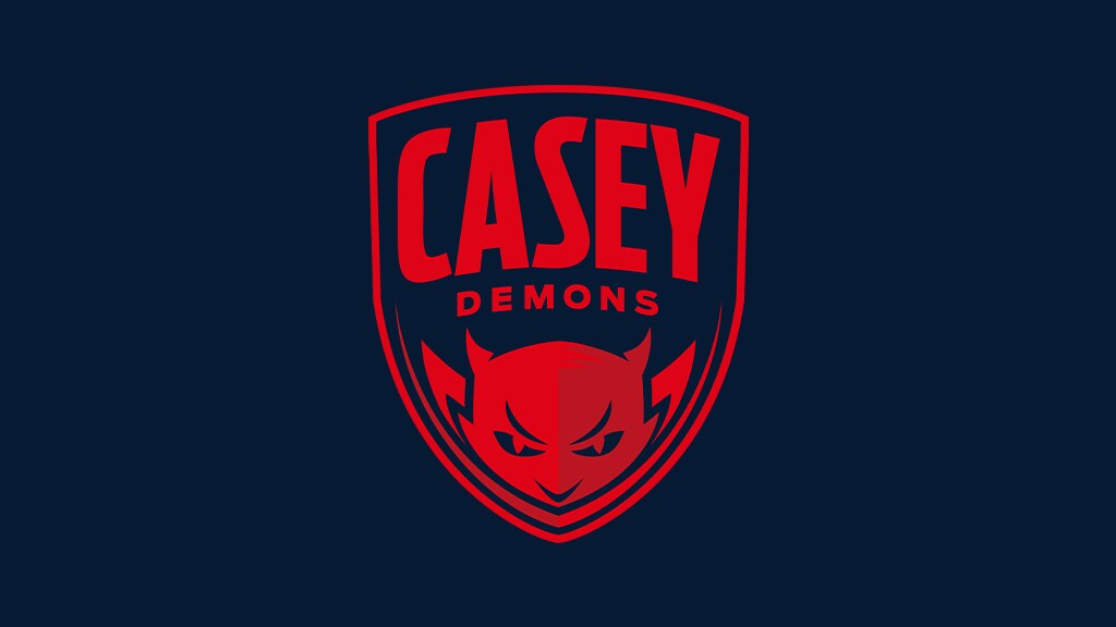 191002_CaseyLogo_1024.jpg